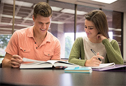 写真：その他各種イメージ