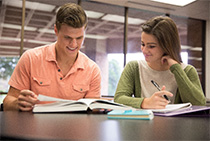 その他各種イメージ